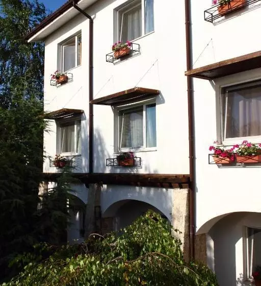 ペンション Vila Raluca