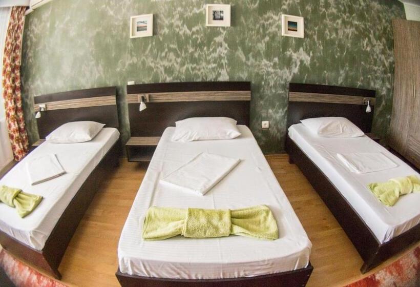 Pensione Vila Raluca