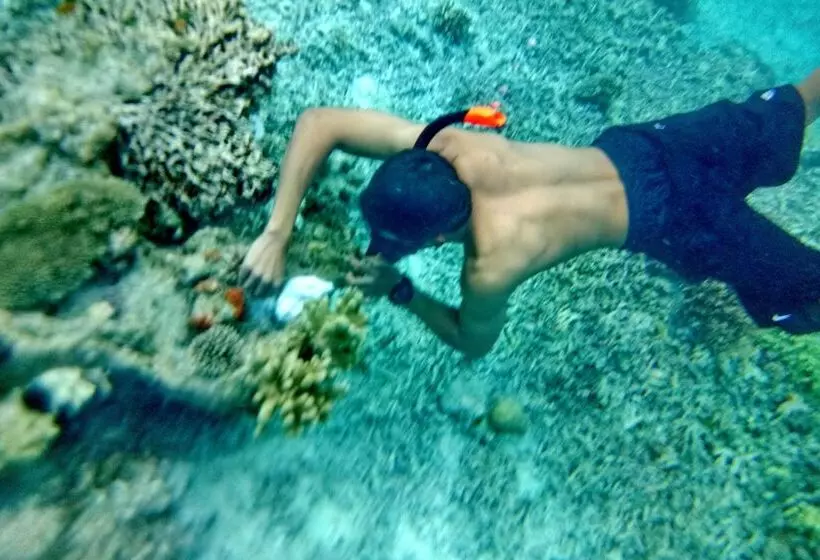 Aamiaismajoitus (B&B) Raja Ampat Dive Lodge