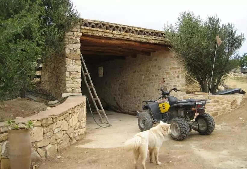 هتل Domaine L Oliveraie