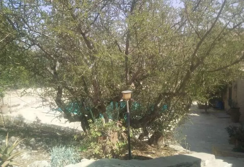 هتل Domaine L Oliveraie