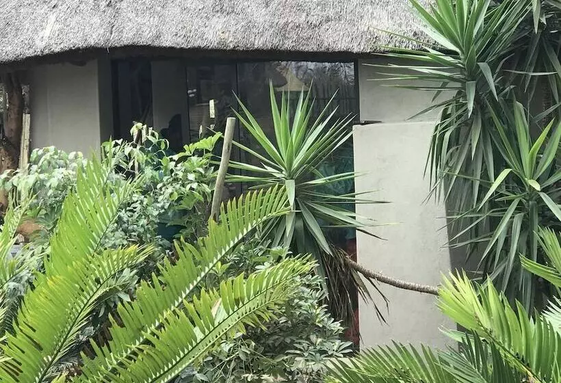 ホテル Weltevreden Country Guest Lodge