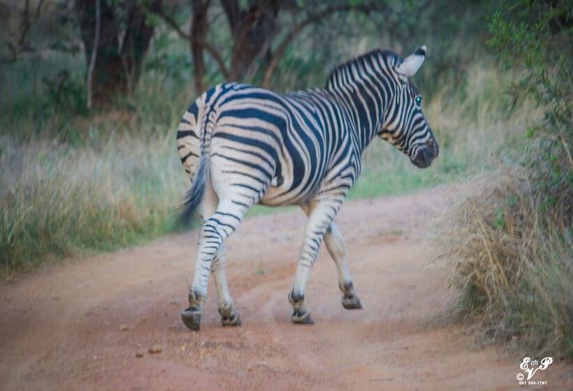 Pension Sable Hills Lodge