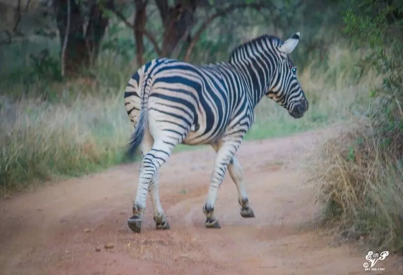 پانسیون Sable Hills Lodge