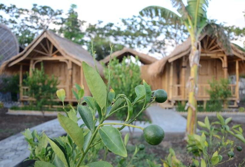 Bed and Breakfast Ekas Garden Bungalow