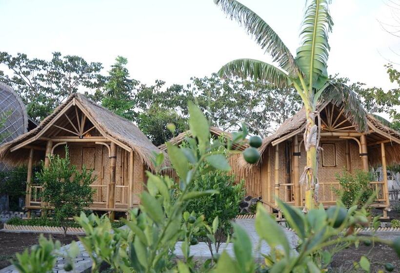 Bed and Breakfast Ekas Garden Bungalow