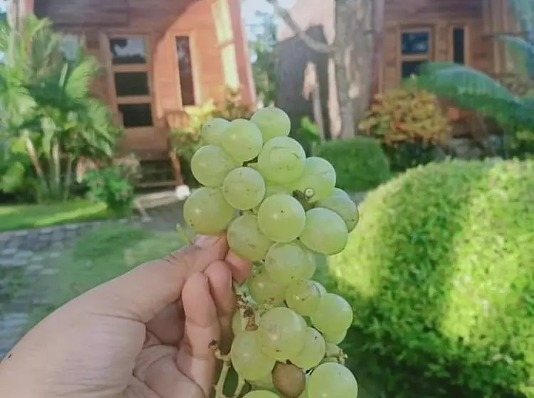 ベッドアンドブレックファースト Ekas Garden Bungalow