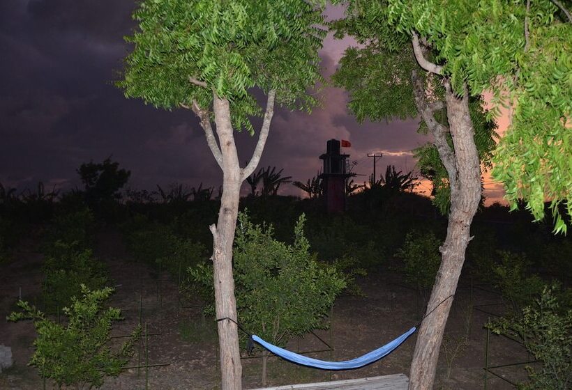 Bed and Breakfast Ekas Garden Bungalow