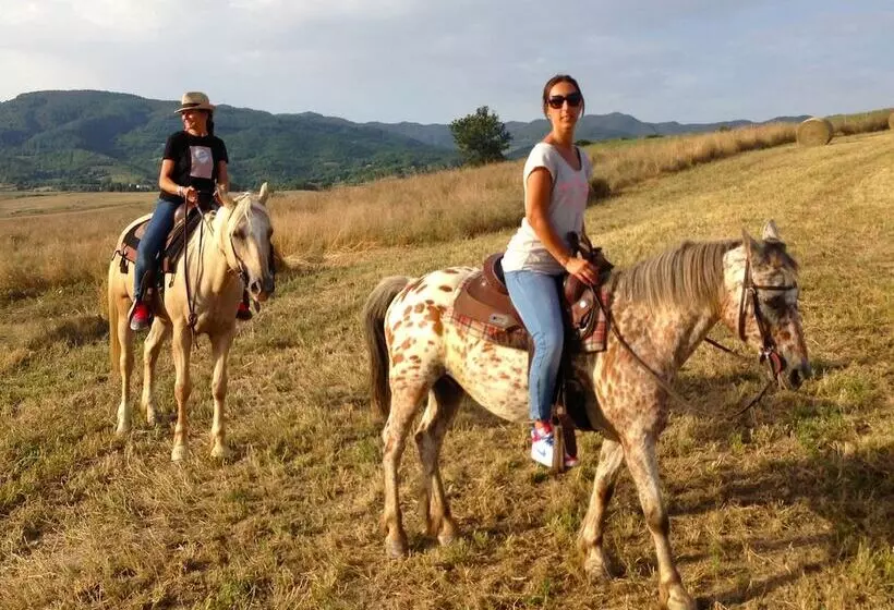 田舎風ホテル Toscana Ranch