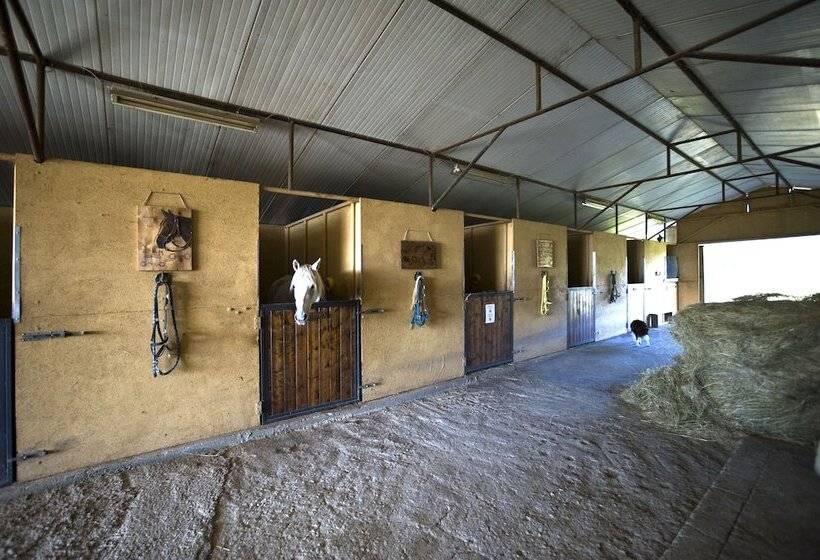 בית מלון כפרי Toscana Ranch