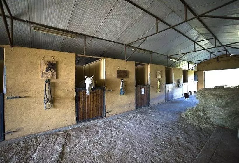田舎風ホテル Toscana Ranch