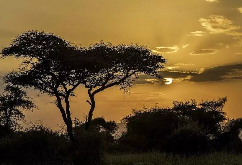 Hotelli Shu'mata Camp