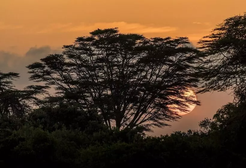 Hotelli Shu'mata Camp