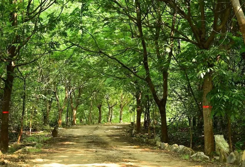 Hotelli Tigers Heaven Resort