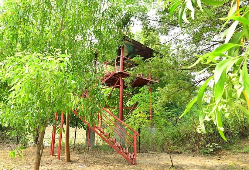 Отель Tigers Heaven Resort