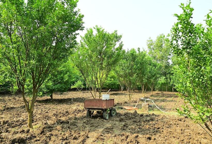 Отель Tigers Heaven Resort