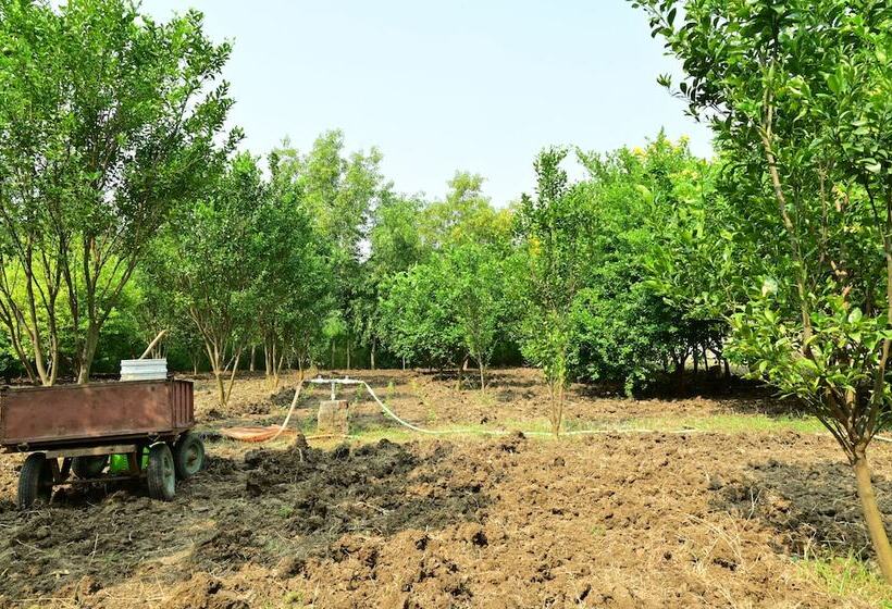 Отель Tigers Heaven Resort