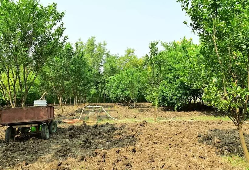 Hotelli Tigers Heaven Resort