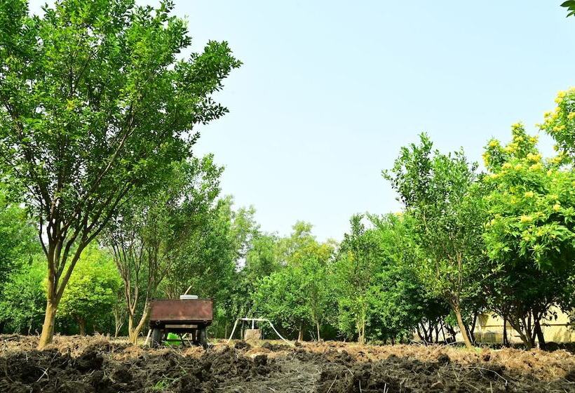 Отель Tigers Heaven Resort