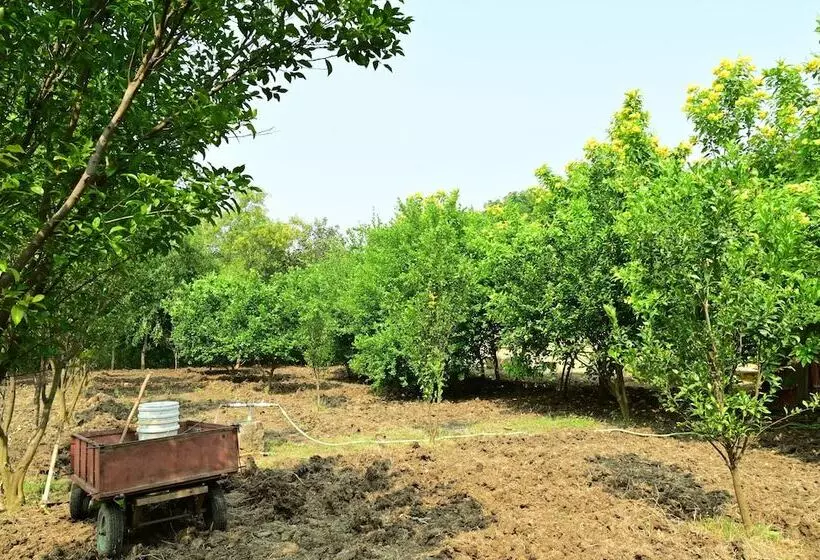 Hotelli Tigers Heaven Resort