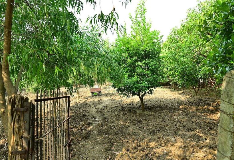 Отель Tigers Heaven Resort