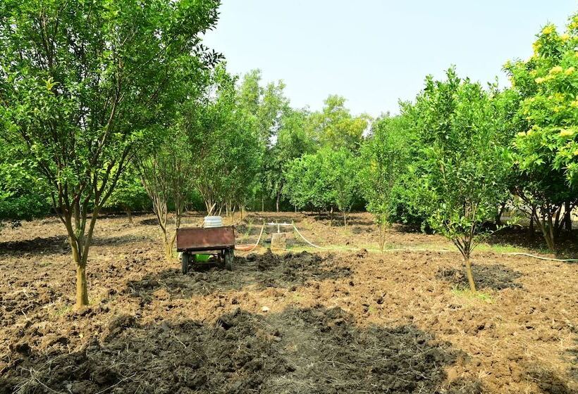 Отель Tigers Heaven Resort