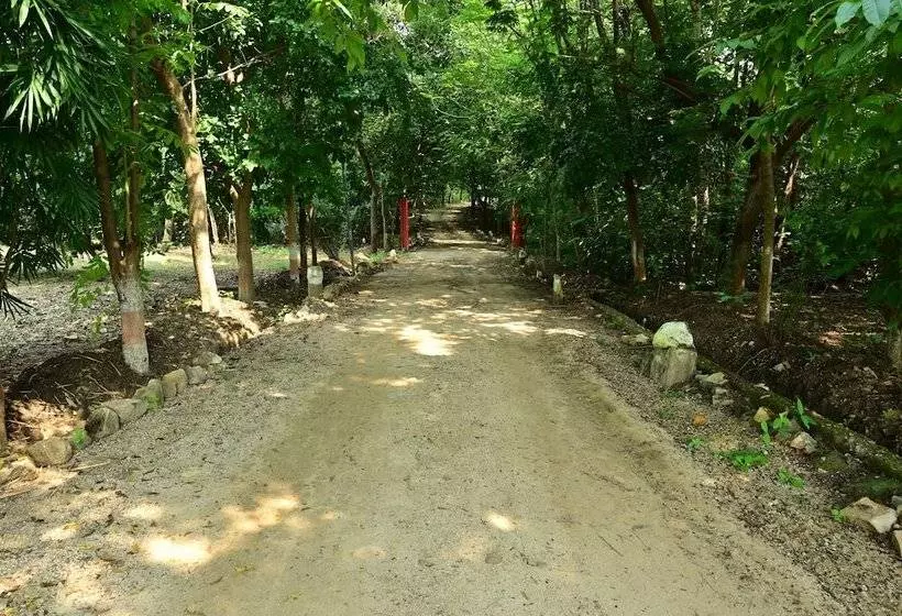 Hotelli Tigers Heaven Resort