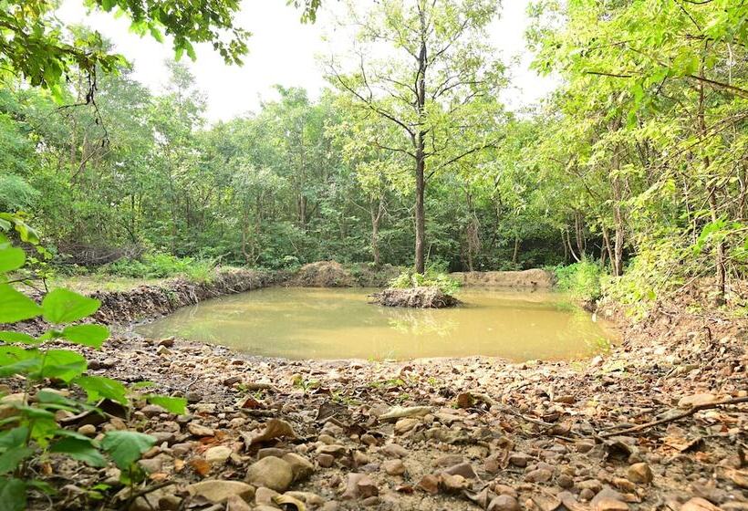 Отель Tigers Heaven Resort