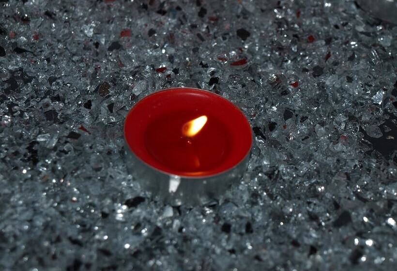 膳宿费 Calme Et Volupté