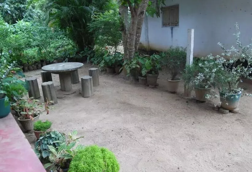 ペンション Mango House