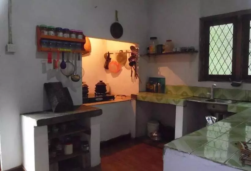 ペンション Mango House