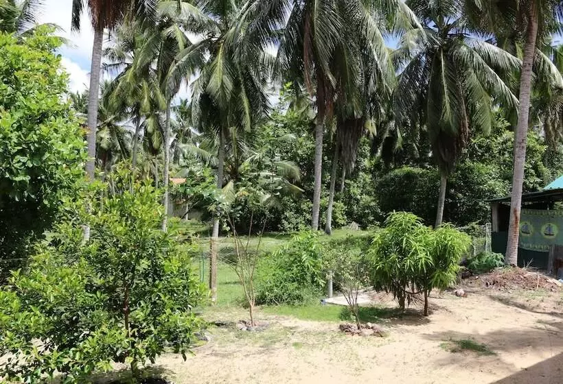 پانسیون Marawila Residence