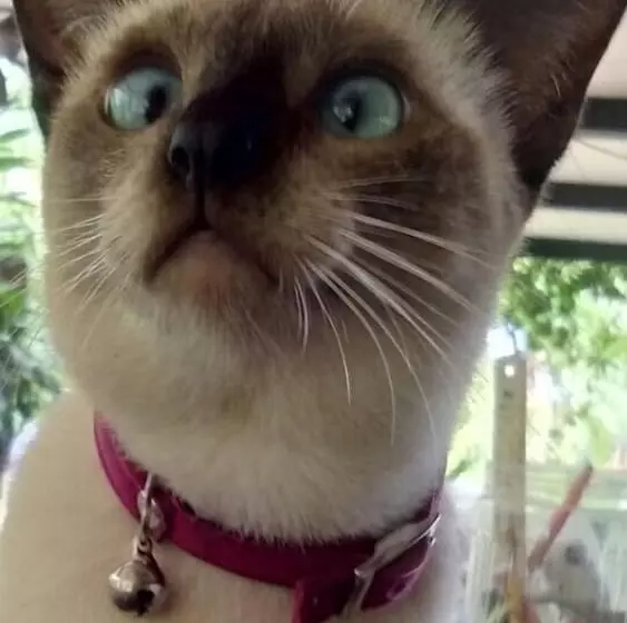 Majatalo Steelloft  Home Stay