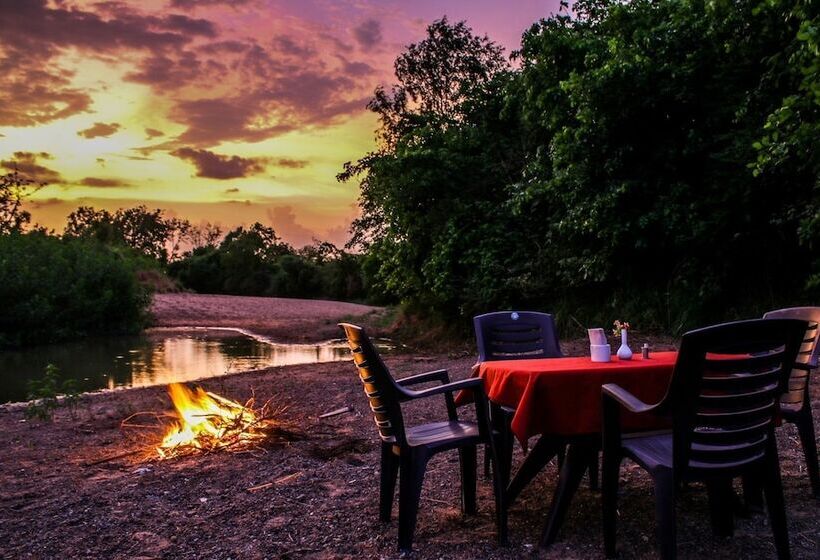 리조트 Mahua Tola Tadoba