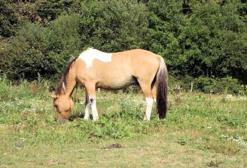 مبيت وإفطار La Ferme Des Pres