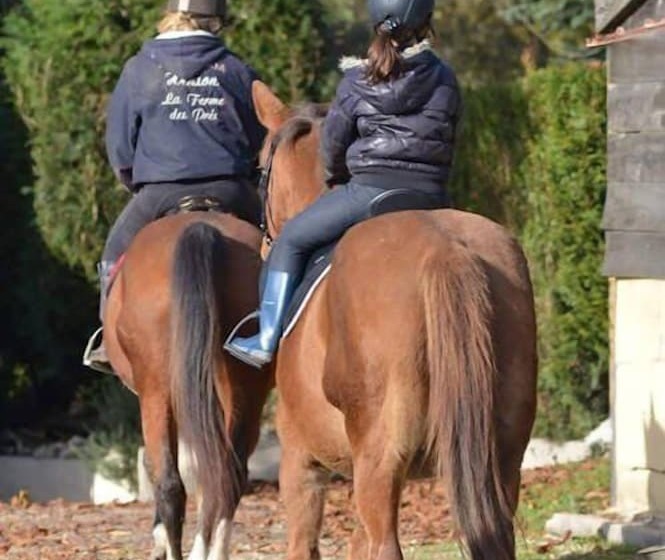 مبيت وإفطار La Ferme Des Pres