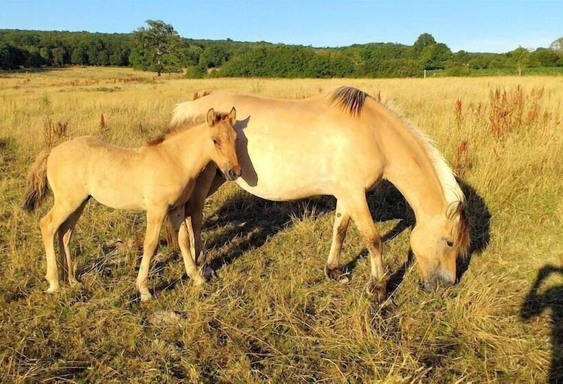 مبيت وإفطار La Ferme Des Pres