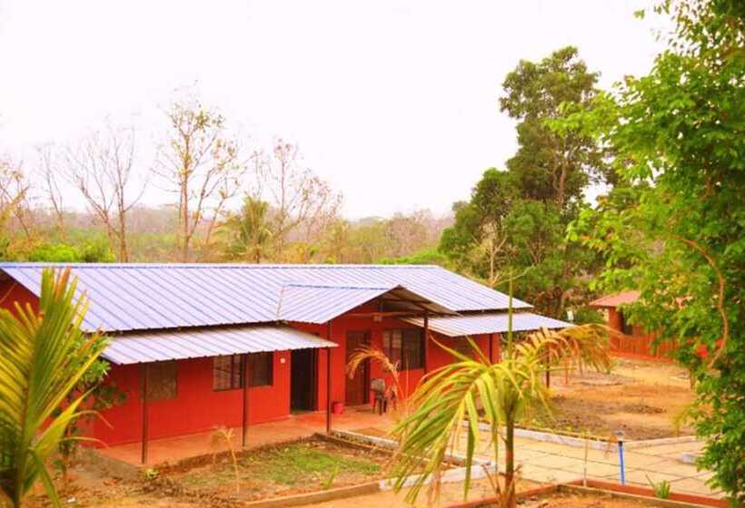 Dandeli Mysa Rc   Hostel