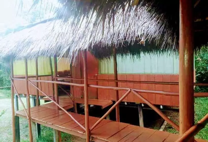 Hotelli Amazon Queen Lodge