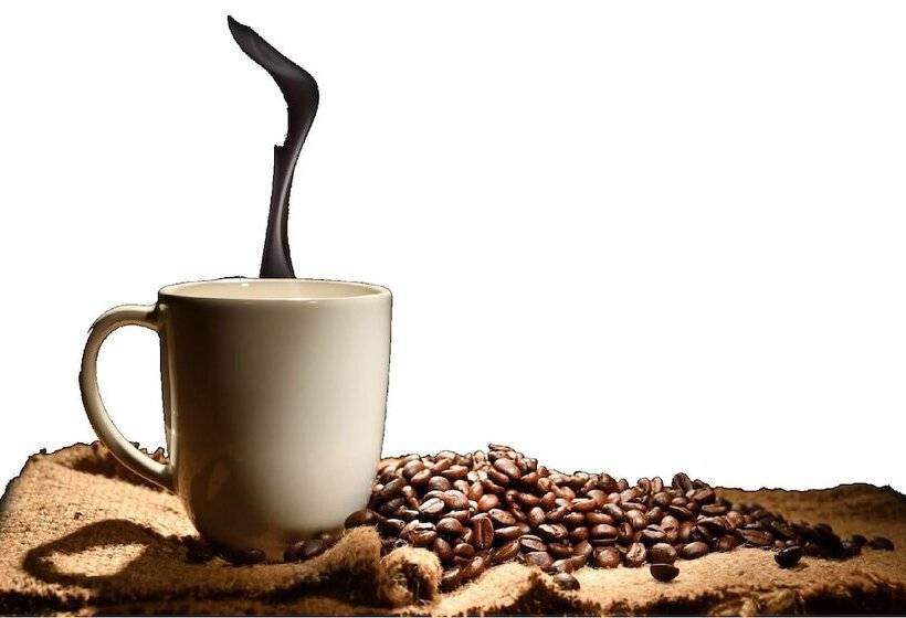 Szálloda Coconut Lodge