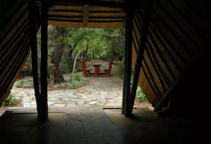 ホテル Modikgweng Lodge