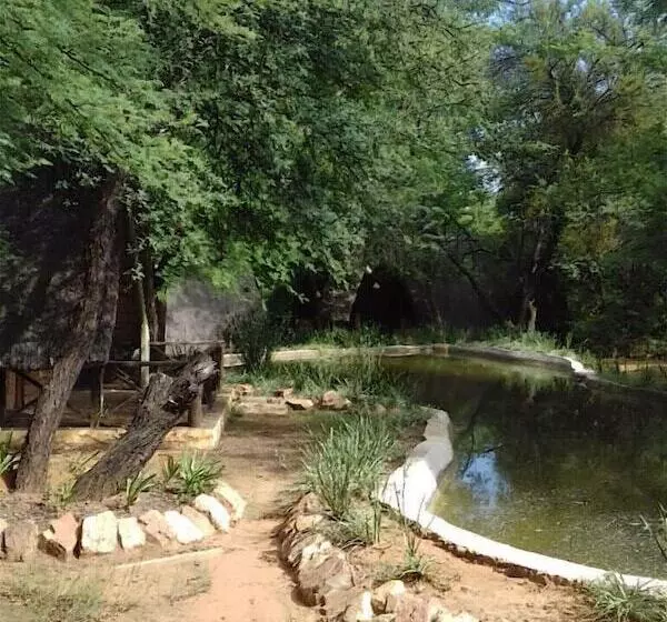ホテル Modikgweng Lodge