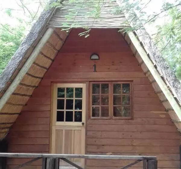 ホテル Modikgweng Lodge