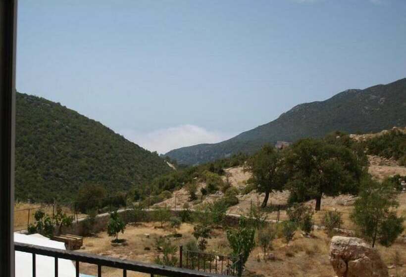 فندق Moonstone House