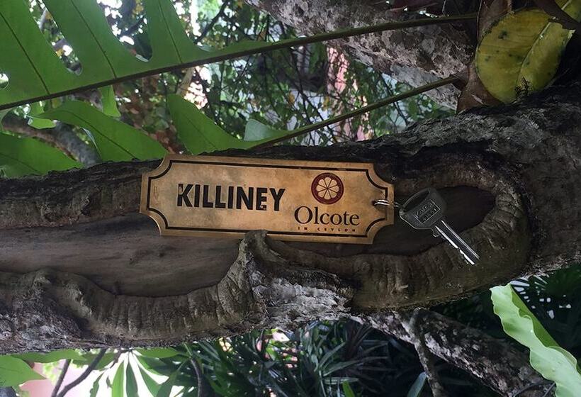 فندق Olcote In Ceylon