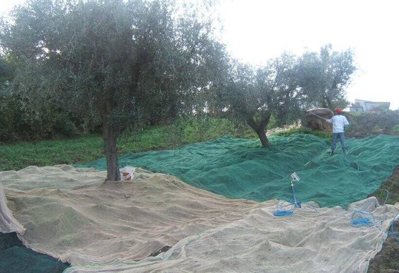 فندق ريفى Agriturismo Il Vecchio Carro