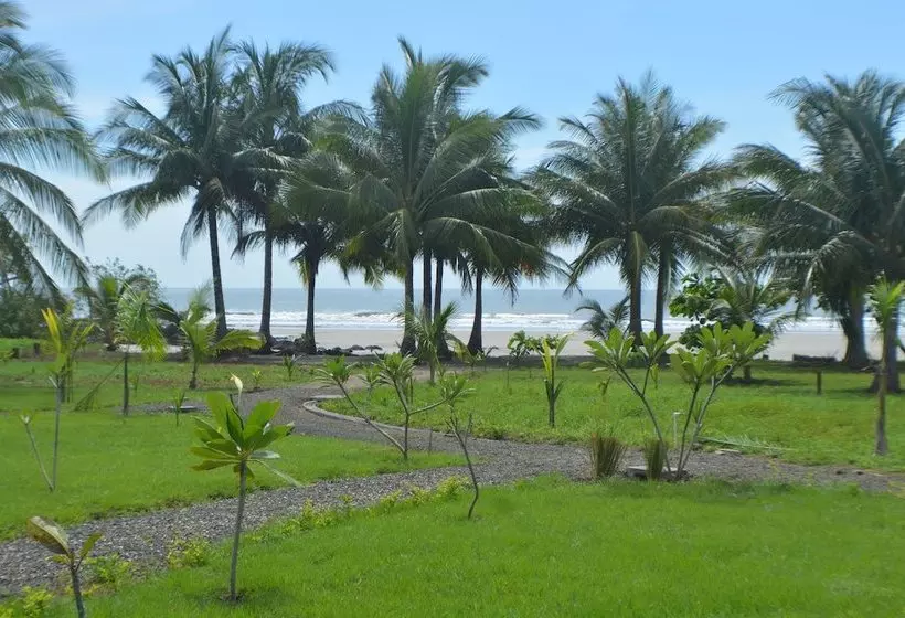 ホテル Zen Spirit Yoga Resort