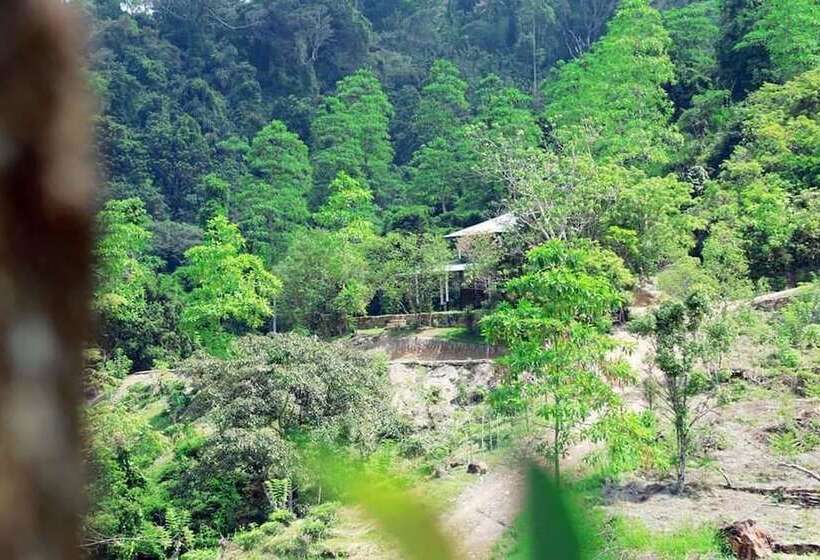 Mount K Resort Hostel