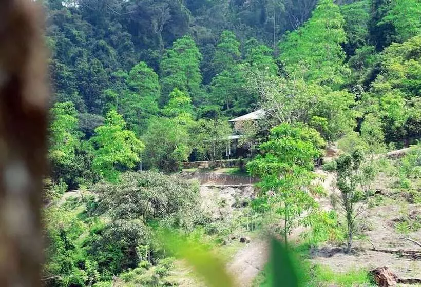 Mount K Resort   Hostel