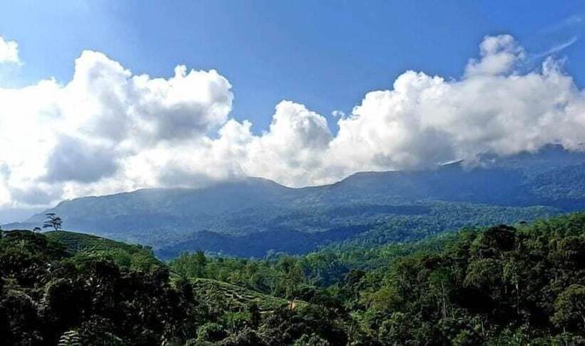 Mount K Resort Hostel